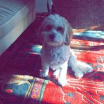 Max Mackey Official - @maxmackeyofficial - Instagram