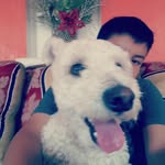 max magana - @max_magana1234l - Instagram