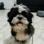 Max - @max.magana08 - Instagram