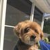Max Malinowski - Facebook