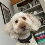Max Malloy - @maxmalloy7 - Instagram