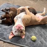 Max Malloy - @max333449 - Instagram