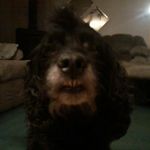 Max Manley - @max.manley - Instagram