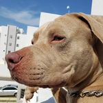 Max Marrero Hernandez - @max_marrero11 - Instagram