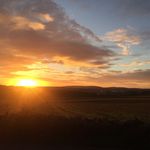 MaxMcCain - @maxmccain85 - Instagram