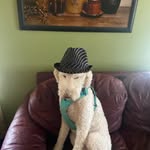 Max McClain - @maxmcclain555 - Instagram