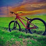 Max Mcleod - @max_mcleod22 - Instagram