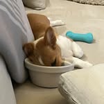 Maxwell Mcnerney - @maxwellmcnerney - Instagram