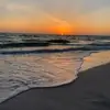 max mcwhorter - @max.mcwhorter0 - TikTok