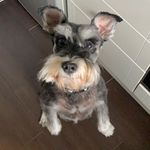 @maxmcwilliams88 - Instagram