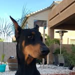 Max Meacham - @maxpmeacham - Instagram