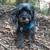 Maxie_The_Banana🍌 - @maxmeadows22 - TikTok