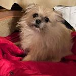 Max meehan - @meehan_max - Instagram