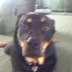 Monte Mel Max Meehan - @monte_is_cool - Instagram