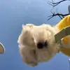 meffordmaxine - @meffordmaxine - TikTok