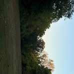 Max Mehta - Facebook