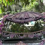 Max Mehta - @maxmehta4 - Instagram