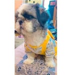 @maxmehta2022 - Instagram