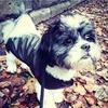 mel.and.max - @mel.and.max - TikTok