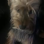 Max Melchor - Facebook