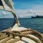 Max Melnikov - @melnikov9918 - Instagram