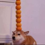 Bax - @max_menard_ - Instagram