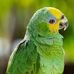 Max Mendieta - Facebook