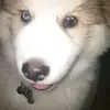 Max Mendieta Sánchez - @maxmsnchez605 - TikTok