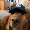 Max Menzies423 - @the_aces_red_baron - TikTok