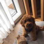 Max Meredith - Facebook
