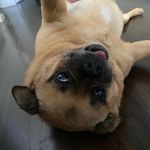 max meredith - @maxmero08 - Instagram