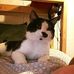 Max Merrill - Facebook