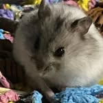 Max Merrills - @maxmerrills - Instagram