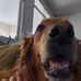 Max Meyers - Facebook