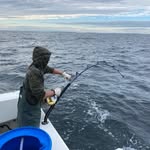 Max Mielenhausen - @max_mielenhausen7 - Instagram