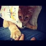 Max Milburn - @itsyeboi_max - Instagram