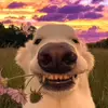 maxmilburn - @maxmilburn - TikTok