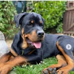 Maxmilburn - @xemaxe8282 - Instagram