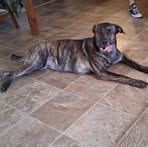 Max Milstead - Facebook