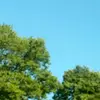 MILSTEAD - @user5420126841780 - TikTok