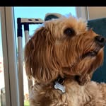 Max Milton - @alluringfish801 - Instagram