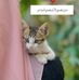 Maandeq Maxamed Cabduqadir - Facebook