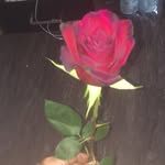 Max Minnick - @motivation2themaximum - Instagram