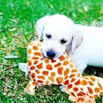 Max - @max.moldovanova - Instagram