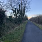 Max Molloy - Facebook