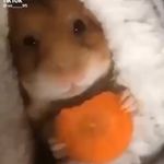 @max_monreal008 - Instagram