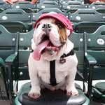 Max Monreal - @max_the_bulldog__ - Instagram