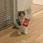 Max - @monrealmax20 - Instagram