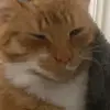 Maximilian - @max1234567890montag - TikTok