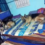 Max &amp; Monti - Facebook
